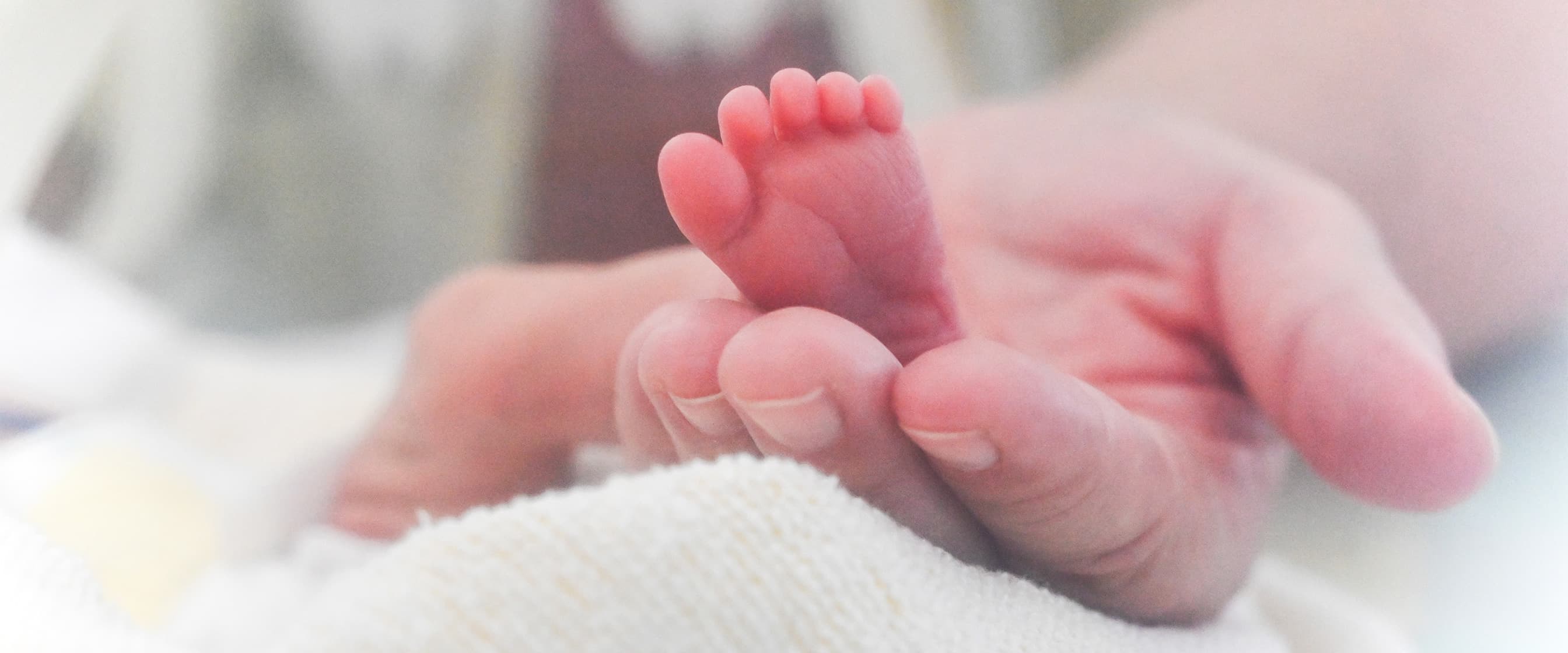 Die Hand einer Pflegefachkraft hält den Fuß eines Neugeborenen, das in einem Inkubator auf der Neonatologie liegt