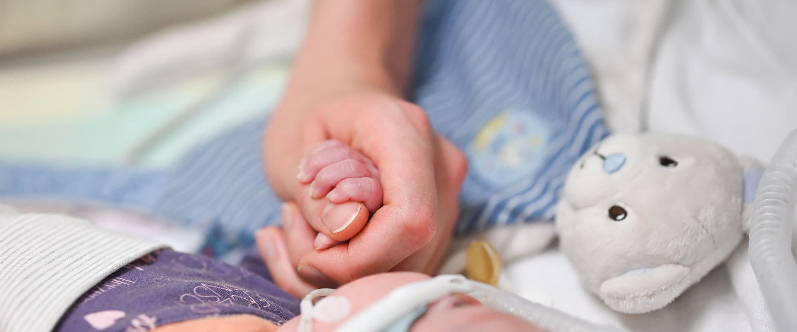 Die Hand einer Pflegefachkraft hält den Fuß eines Neugeborenen, das in einem Inkubator auf der Neonatologie liegt